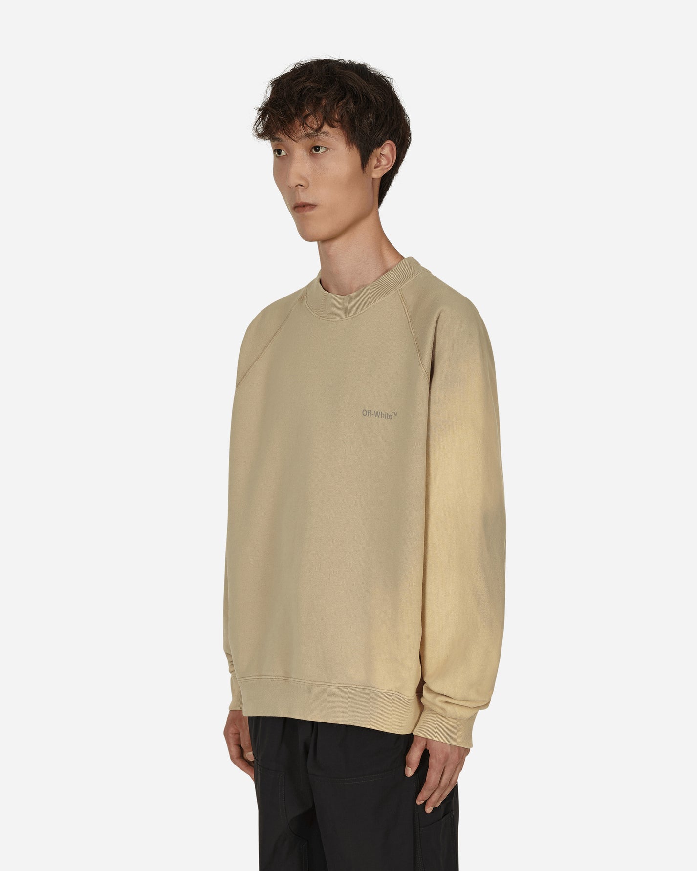 Off-White Diag Tab Vtg Ragl Skate Crewn Dark Sand Sweatshirts Crewneck OMBA056F22FLE001 1717